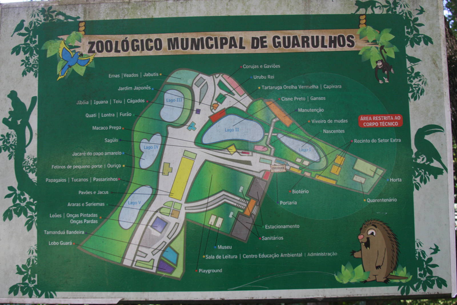 2013: Guarulhos Zoo