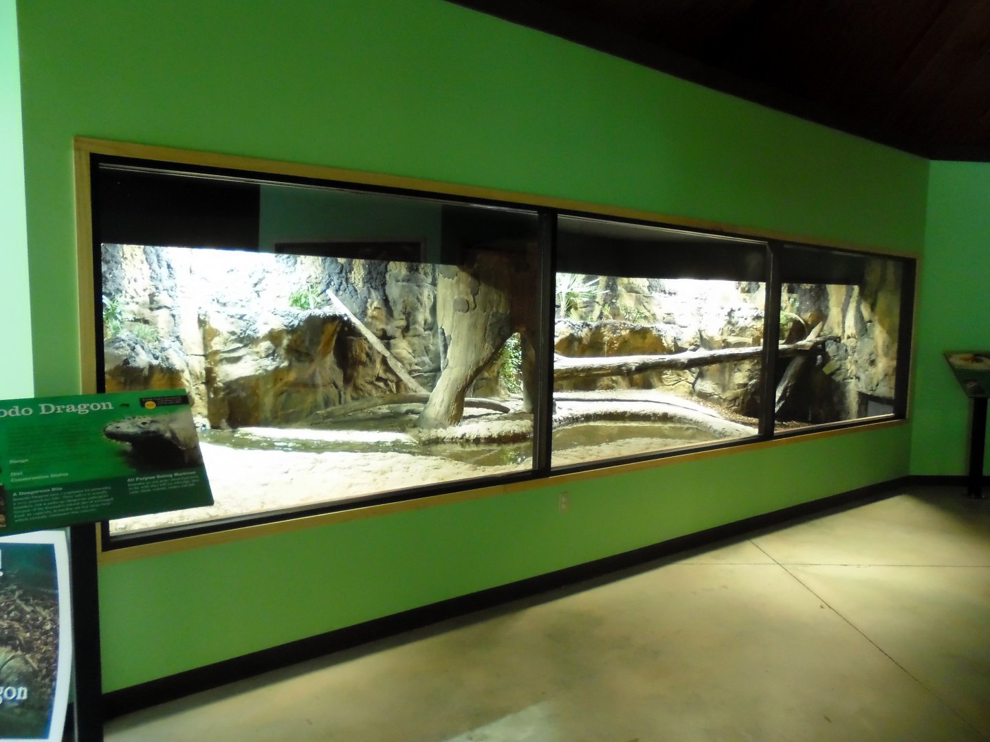 2013 - Indoor Komodo Dragon Exhibit