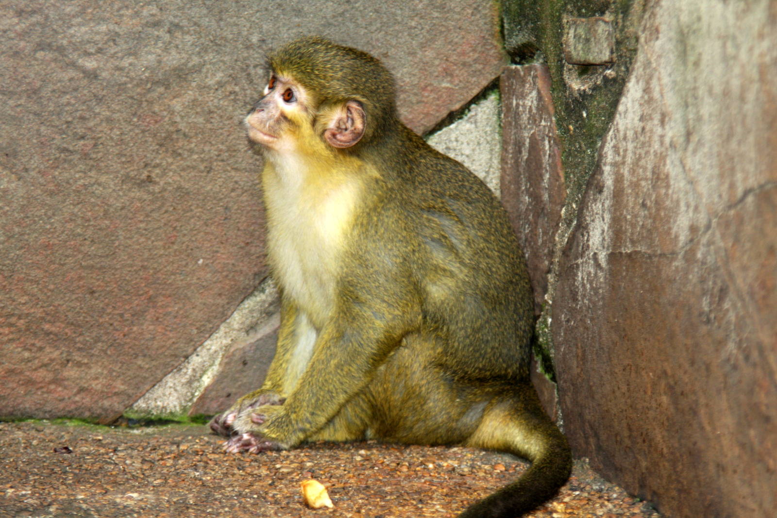 2013 Little Rock Zoo