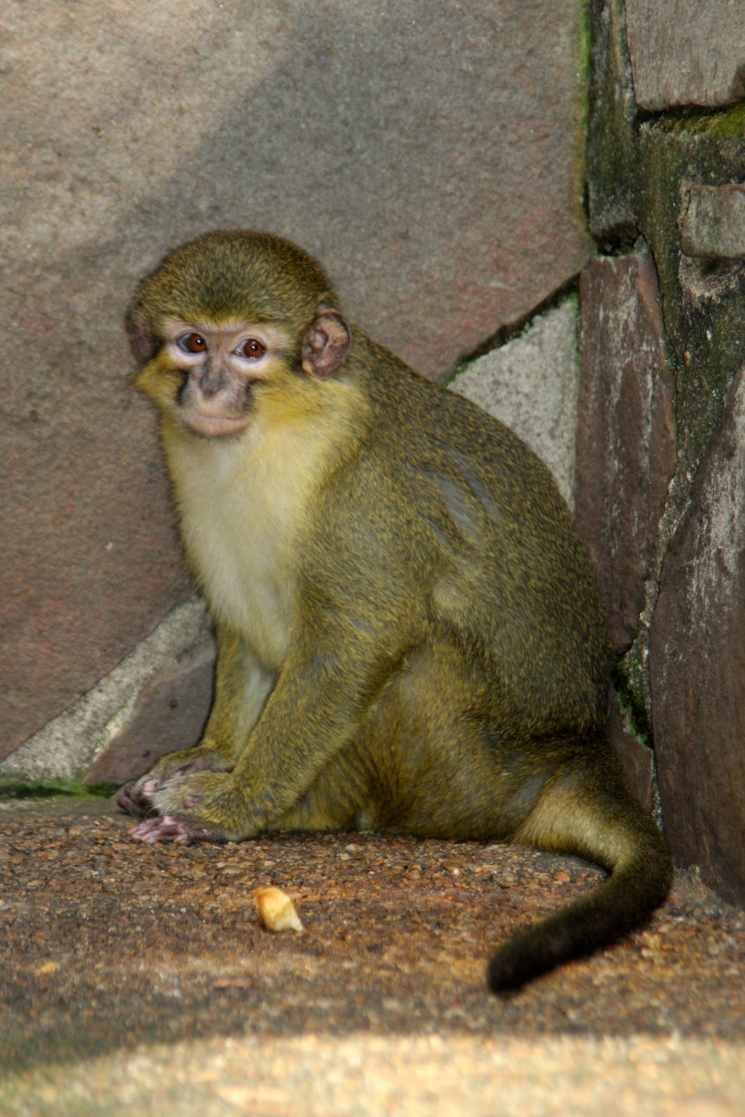 2013 Little Rock Zoo