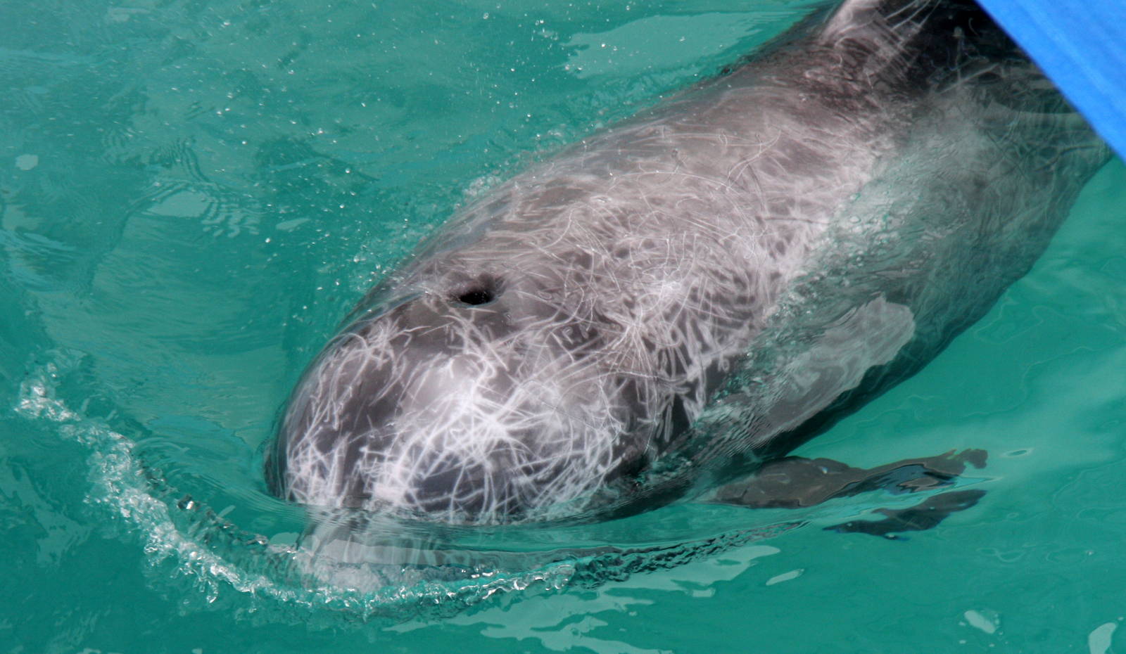 2013: Long Island Aquarium