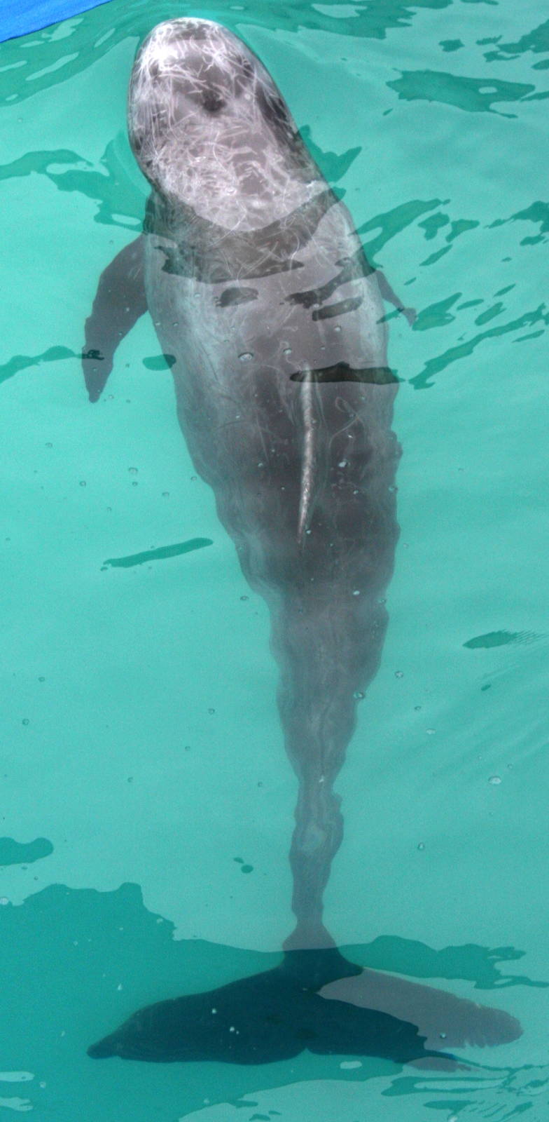 2013: Long Island Aquarium