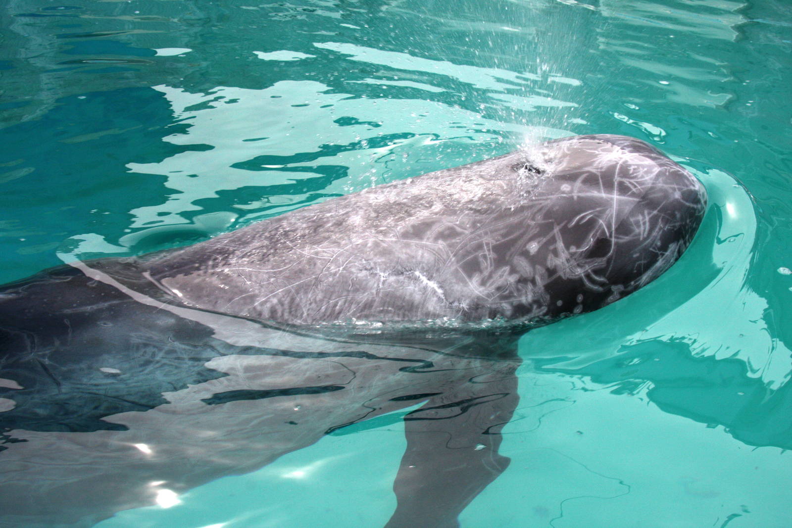 2013: Long Island Aquarium