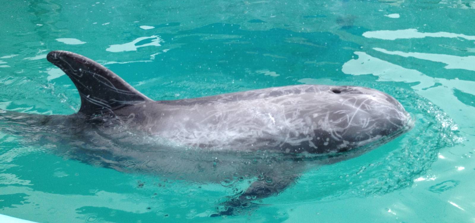 2013: Long Island Aquarium