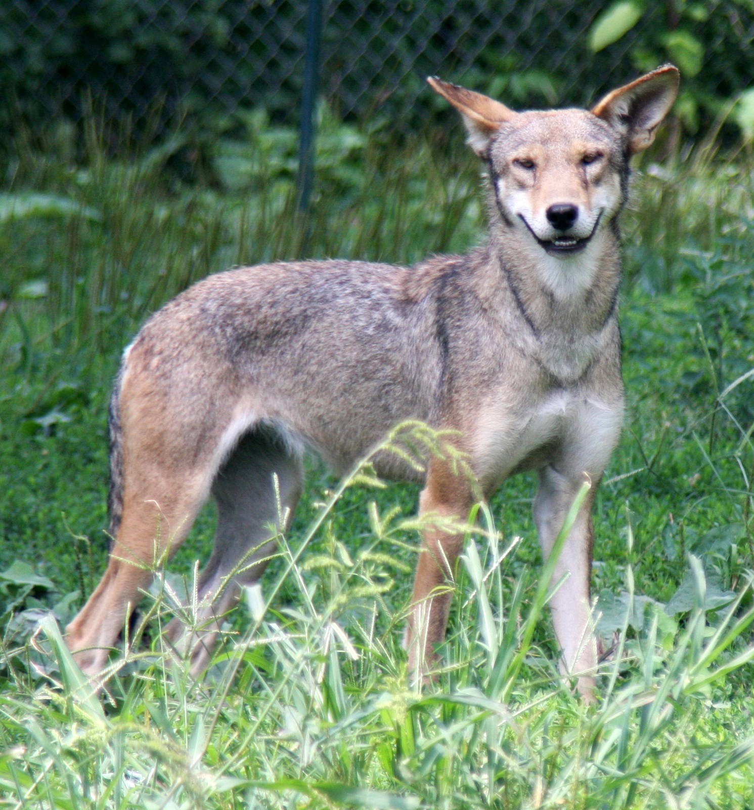 2013: Miller Park Zoo