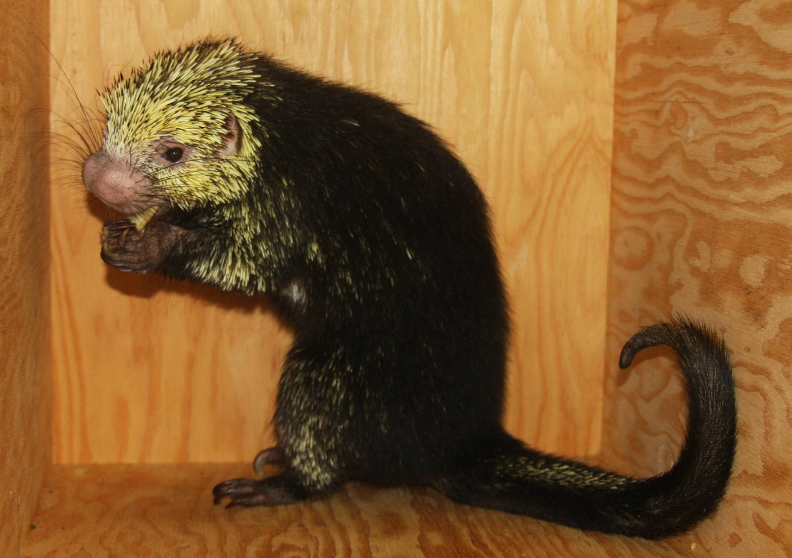 2013: Philadelphia Zoo