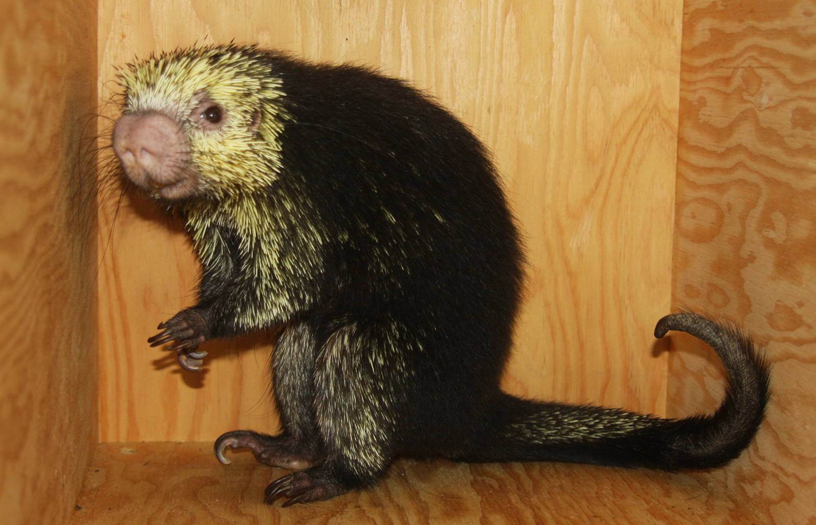 2013: Philadelphia Zoo