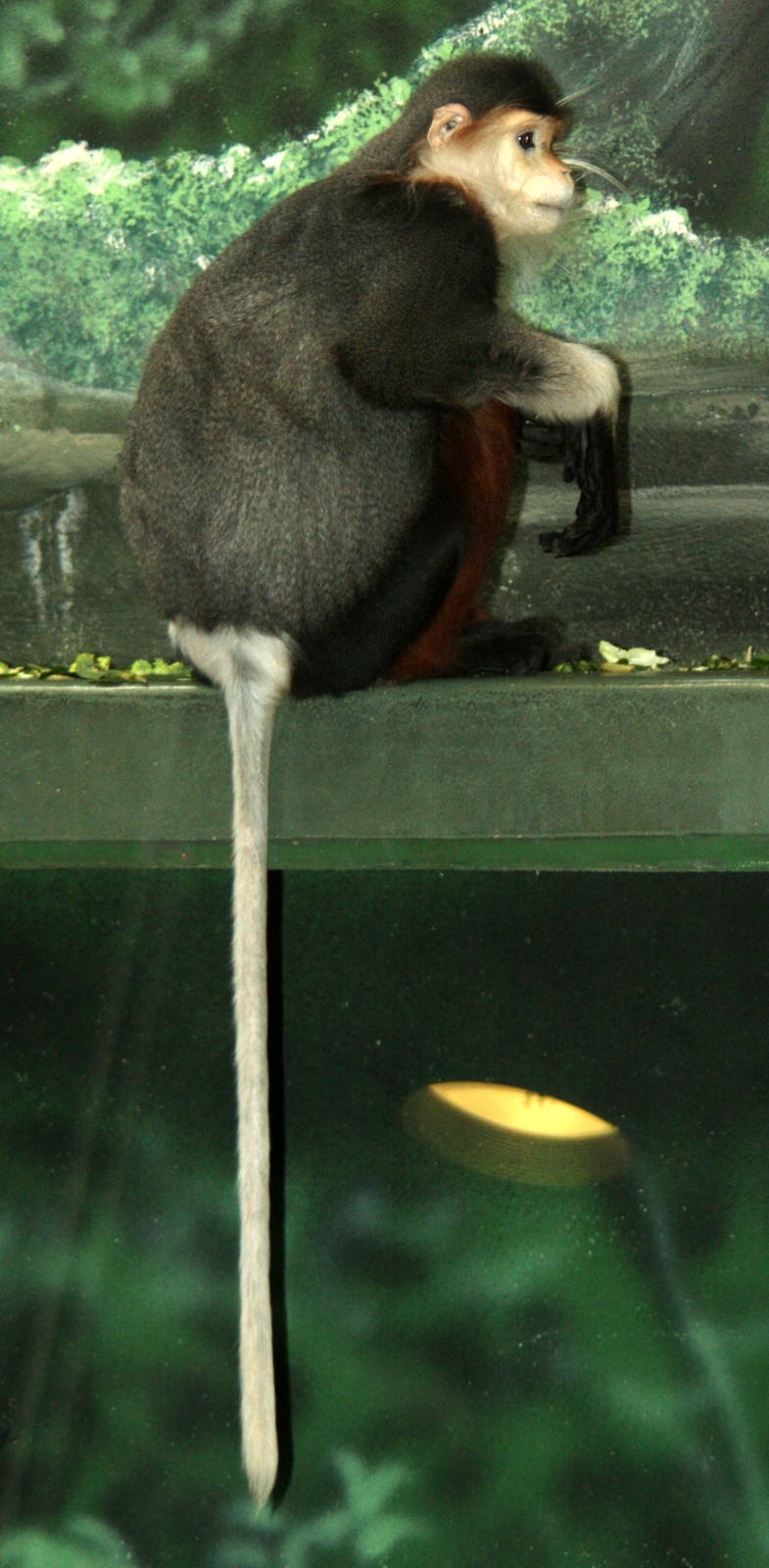 2013: Philadelphia Zoo