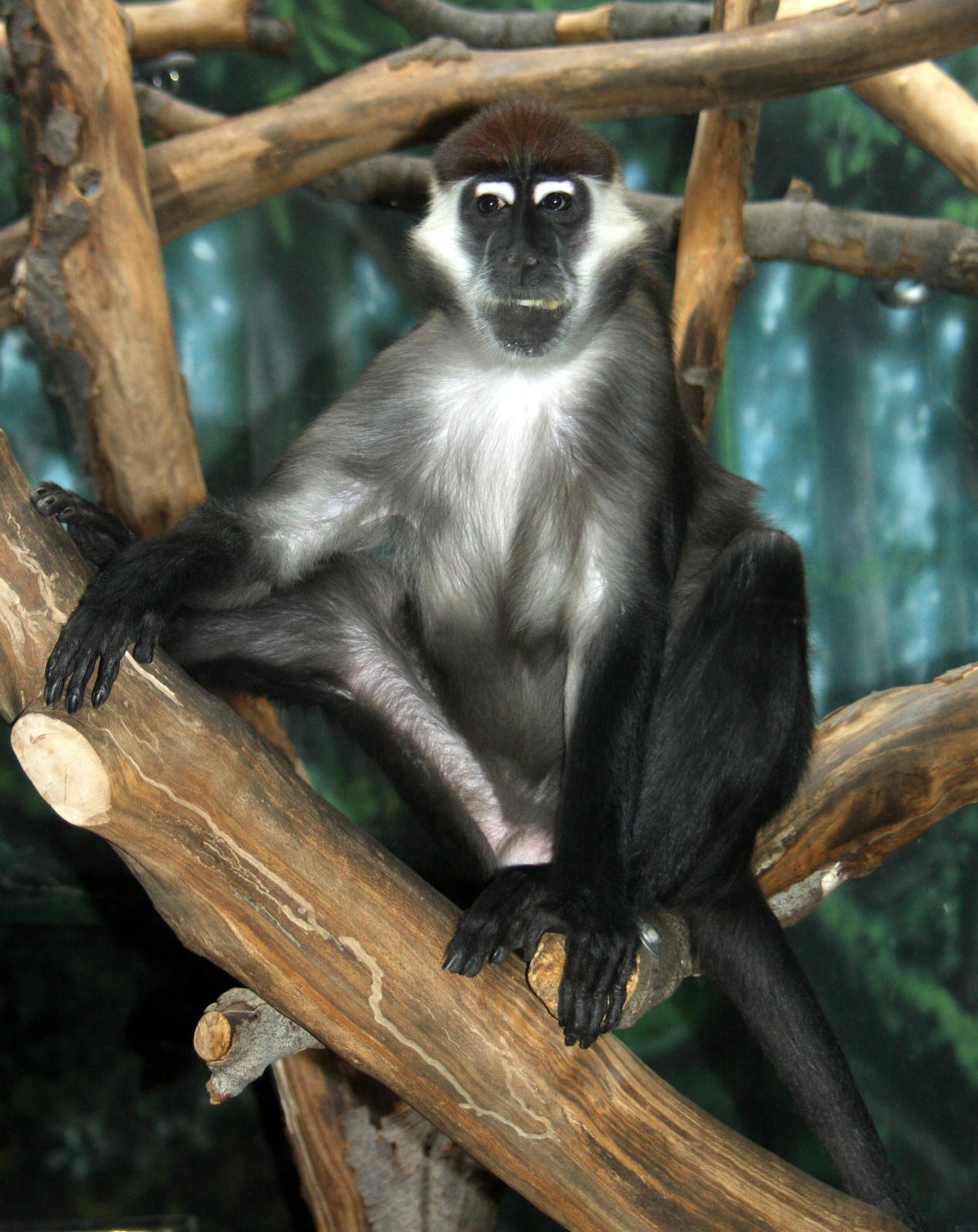 2013: Philadelphia Zoo