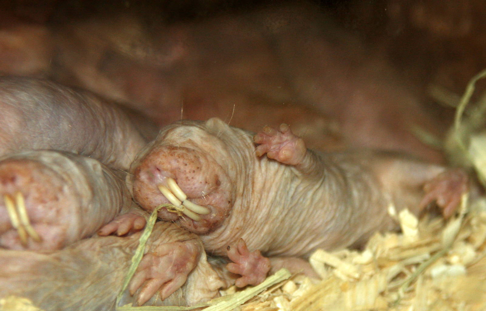 2013: Philadelphia Zoo