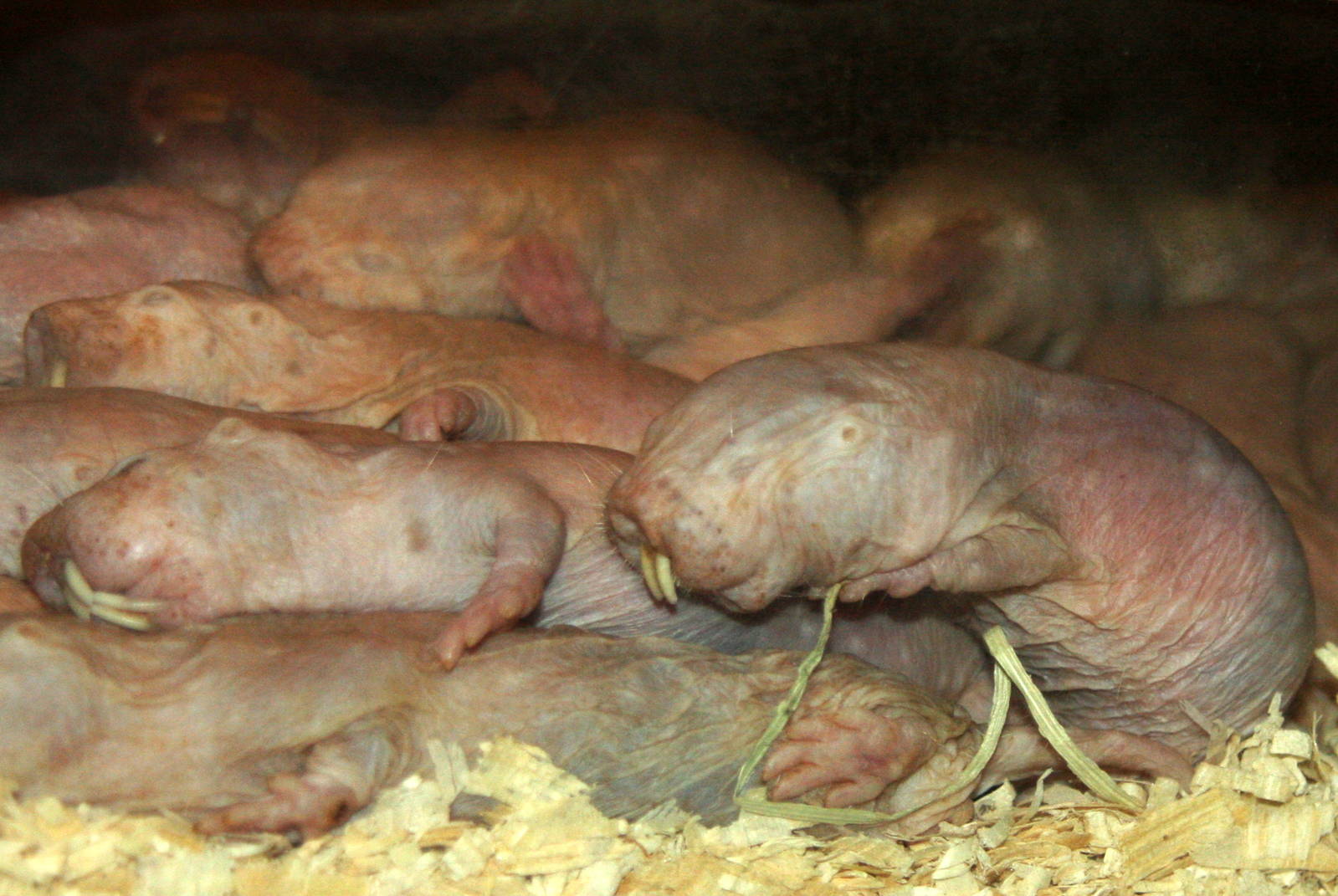 2013: Philadelphia Zoo