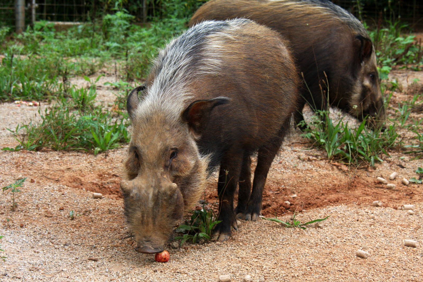 2013: Shadow Nursery