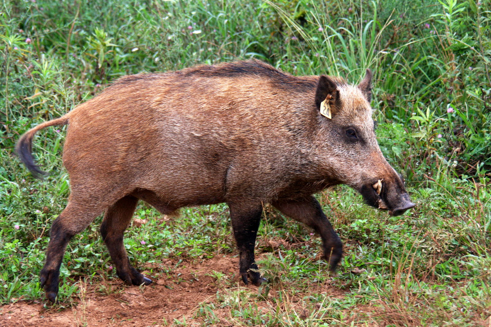 2013: Shadow Nursery