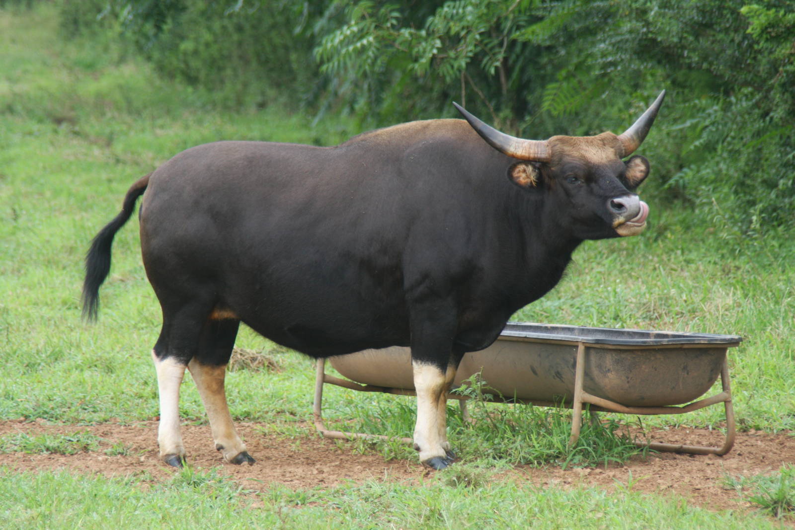 2013: Shadow Nursery