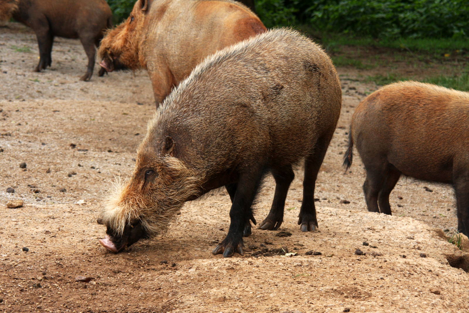 2013: Shadow Nursery