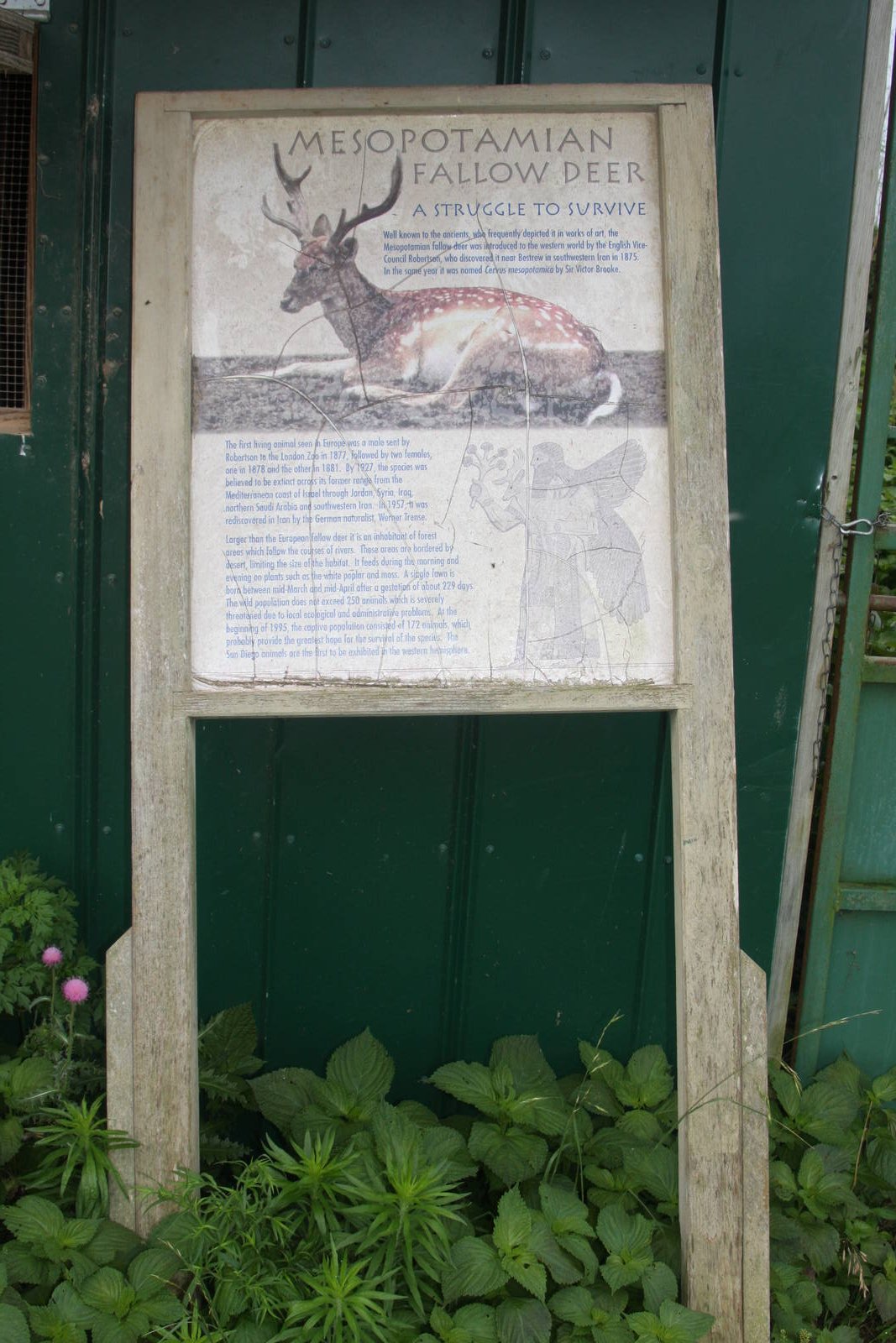 2013: Shadow Nursery