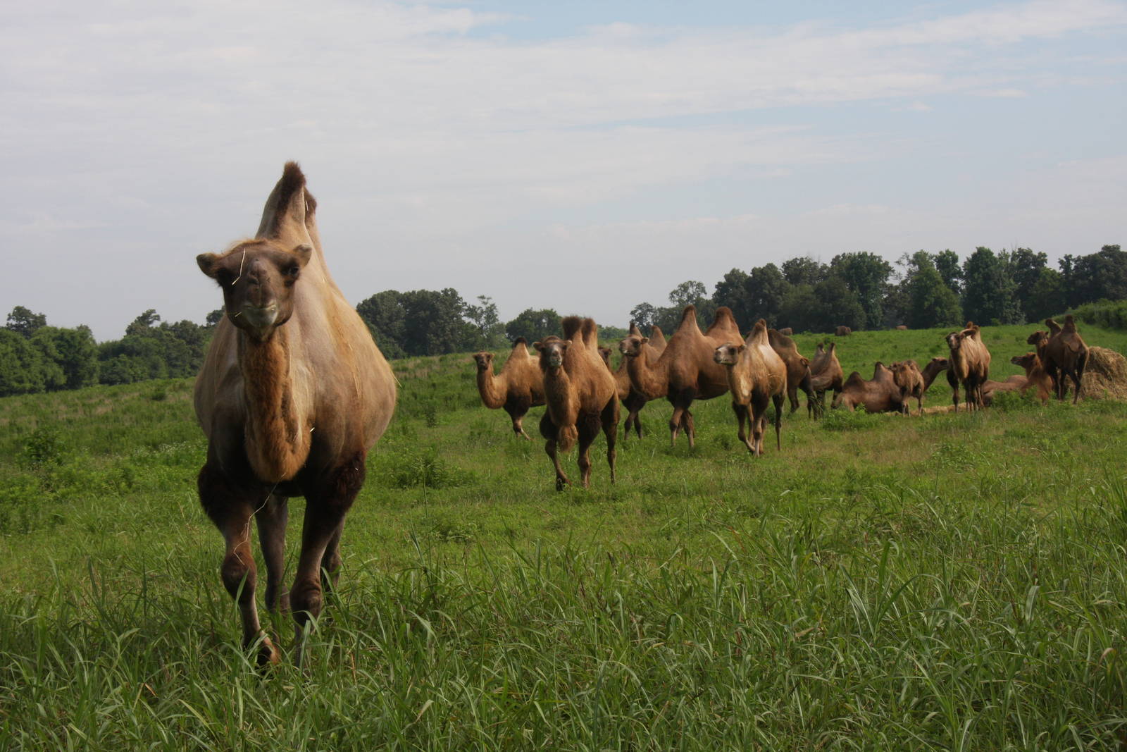 2013: Shadow Nursery