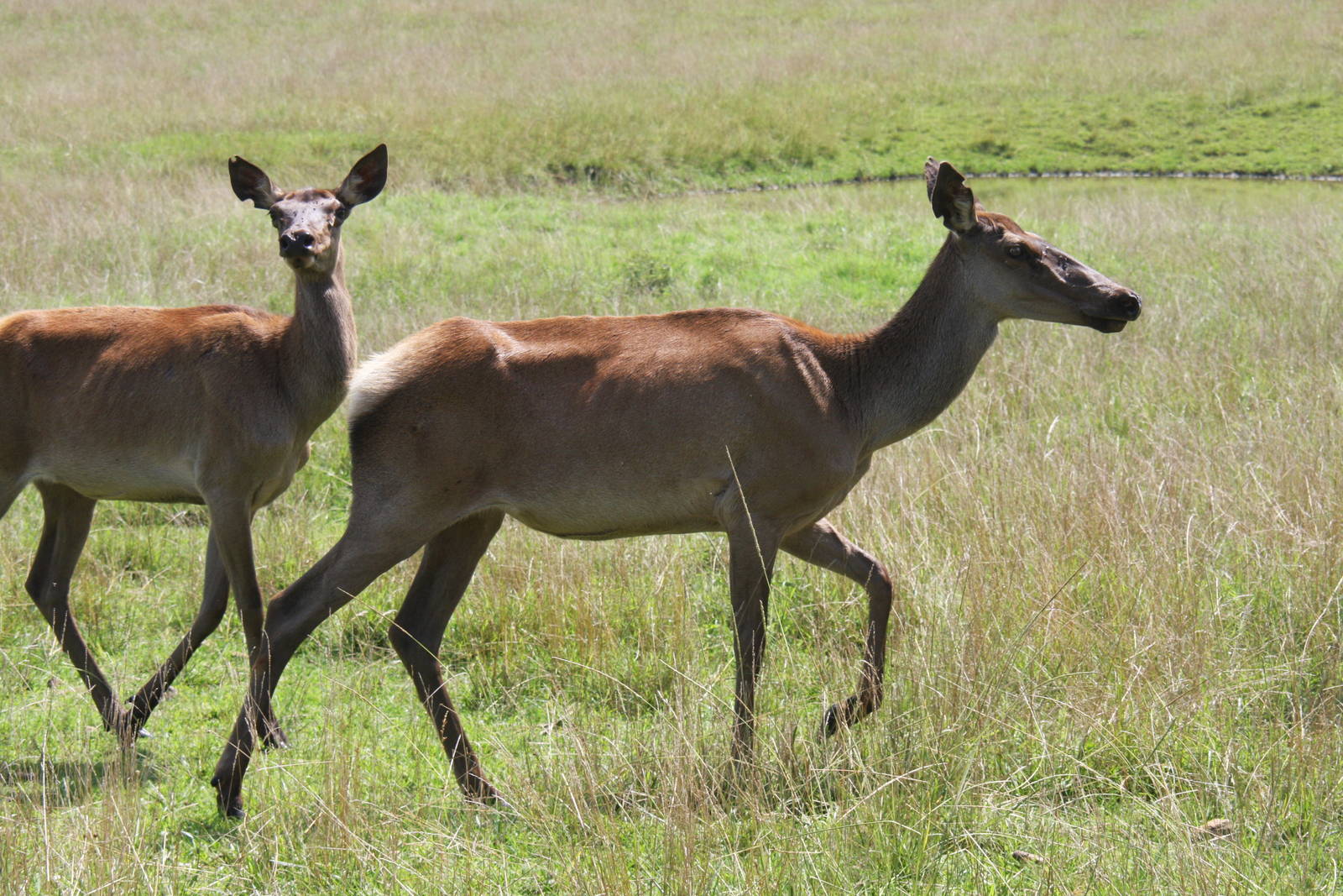 2013: Shadow Nursery