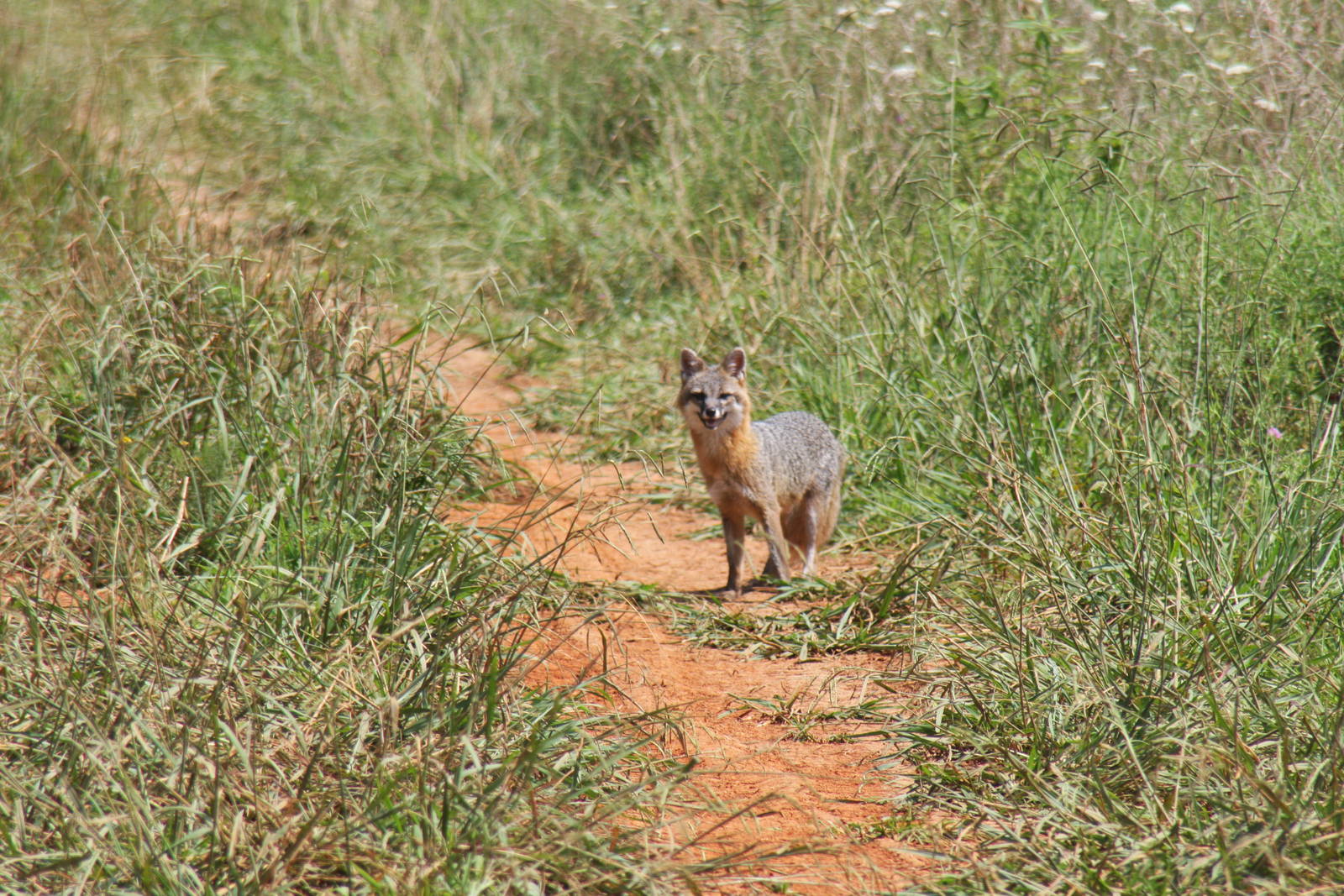 2013: Shadow Nursery