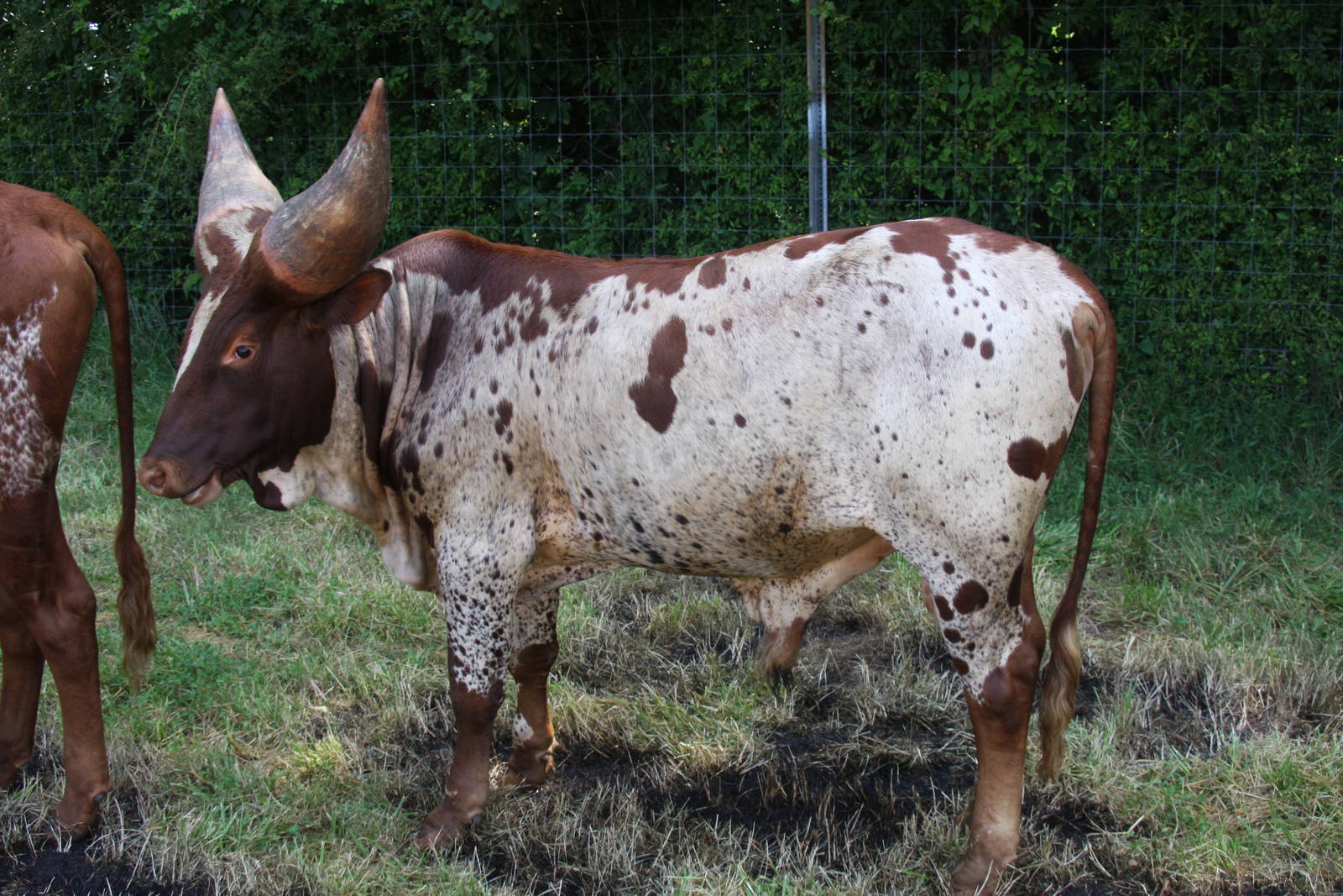 2013: Shadow Nursery