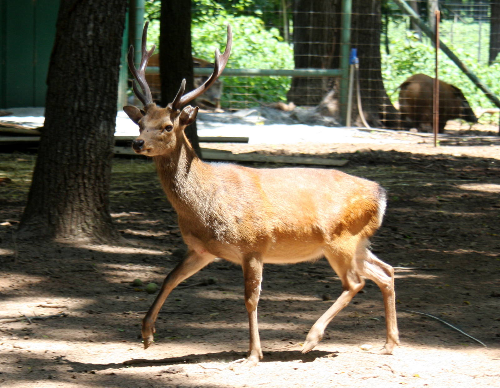 2013: Shadow Nursery