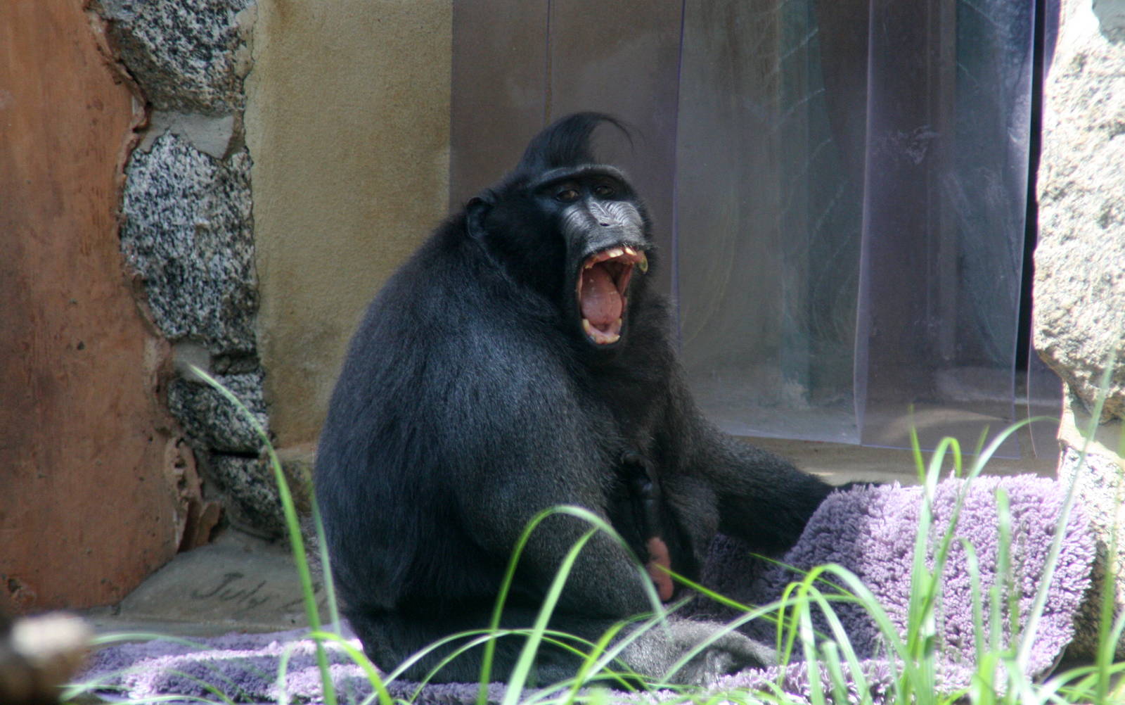 2013: Smithsonian National Zoo