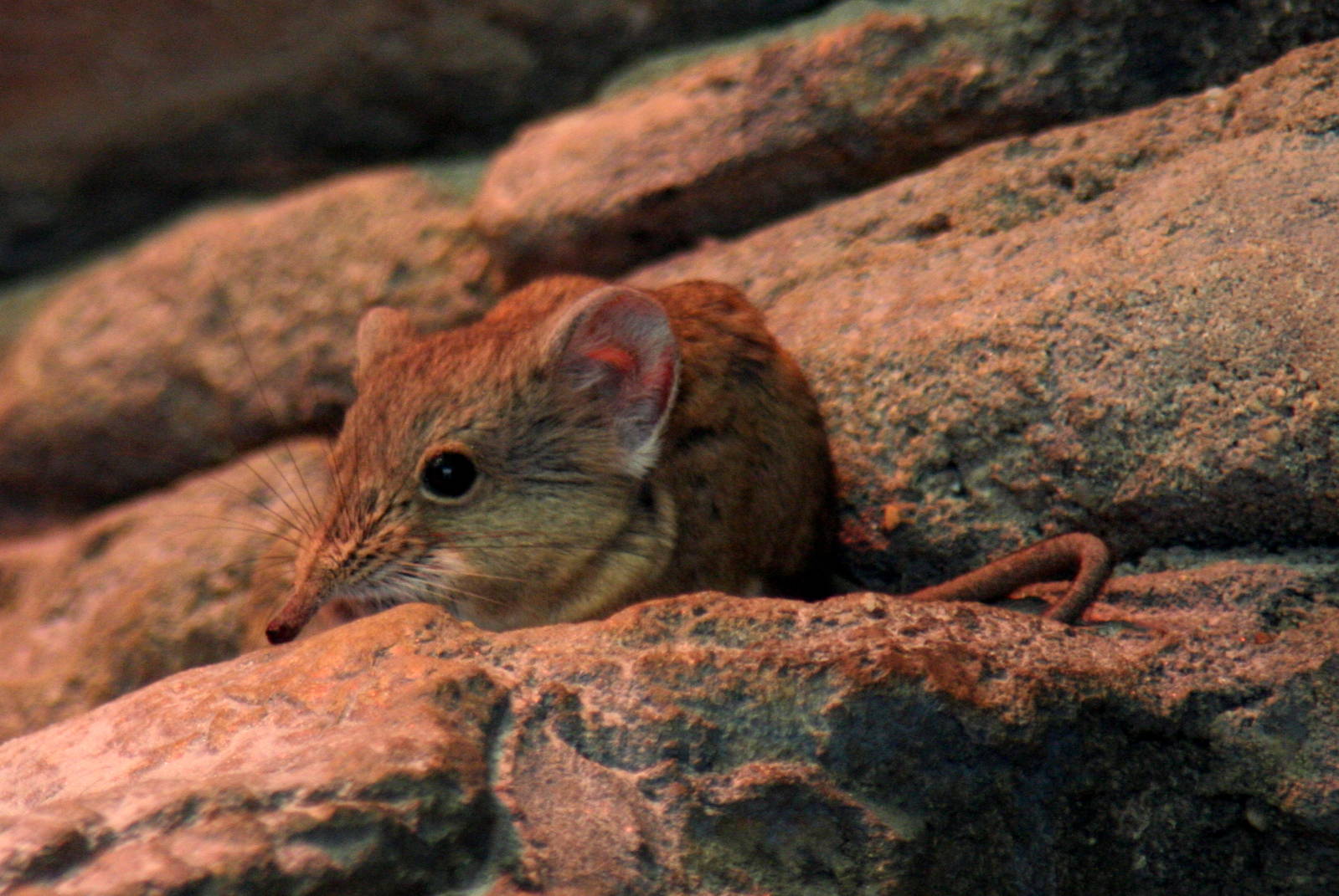 2013: Smithsonian National Zoo