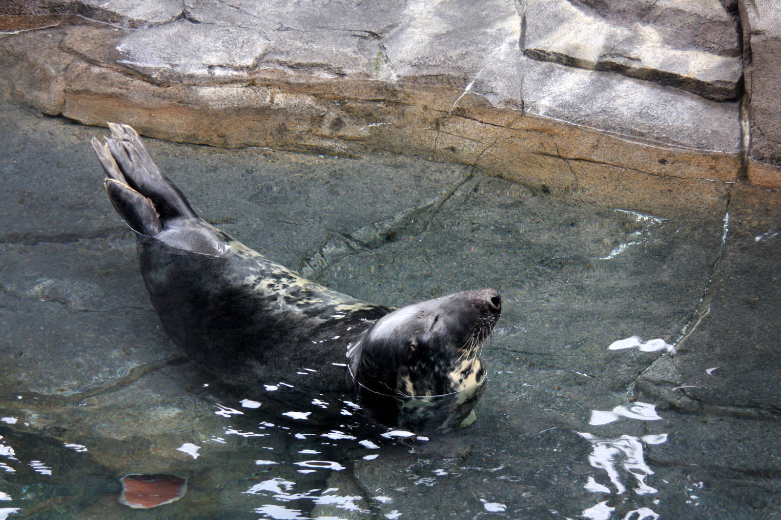 2013: Smithsonian National Zoo