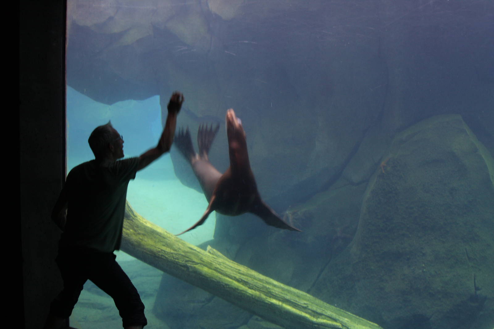 2013: Smithsonian National Zoo