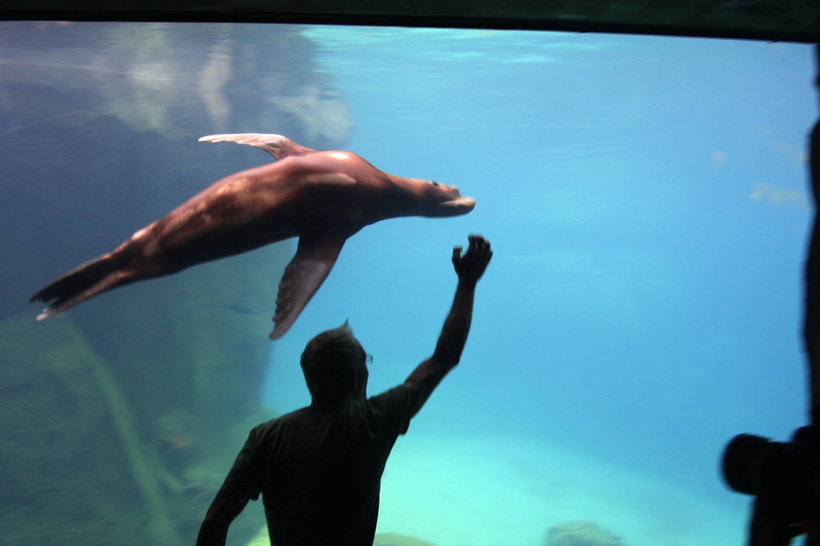 2013: Smithsonian National Zoo