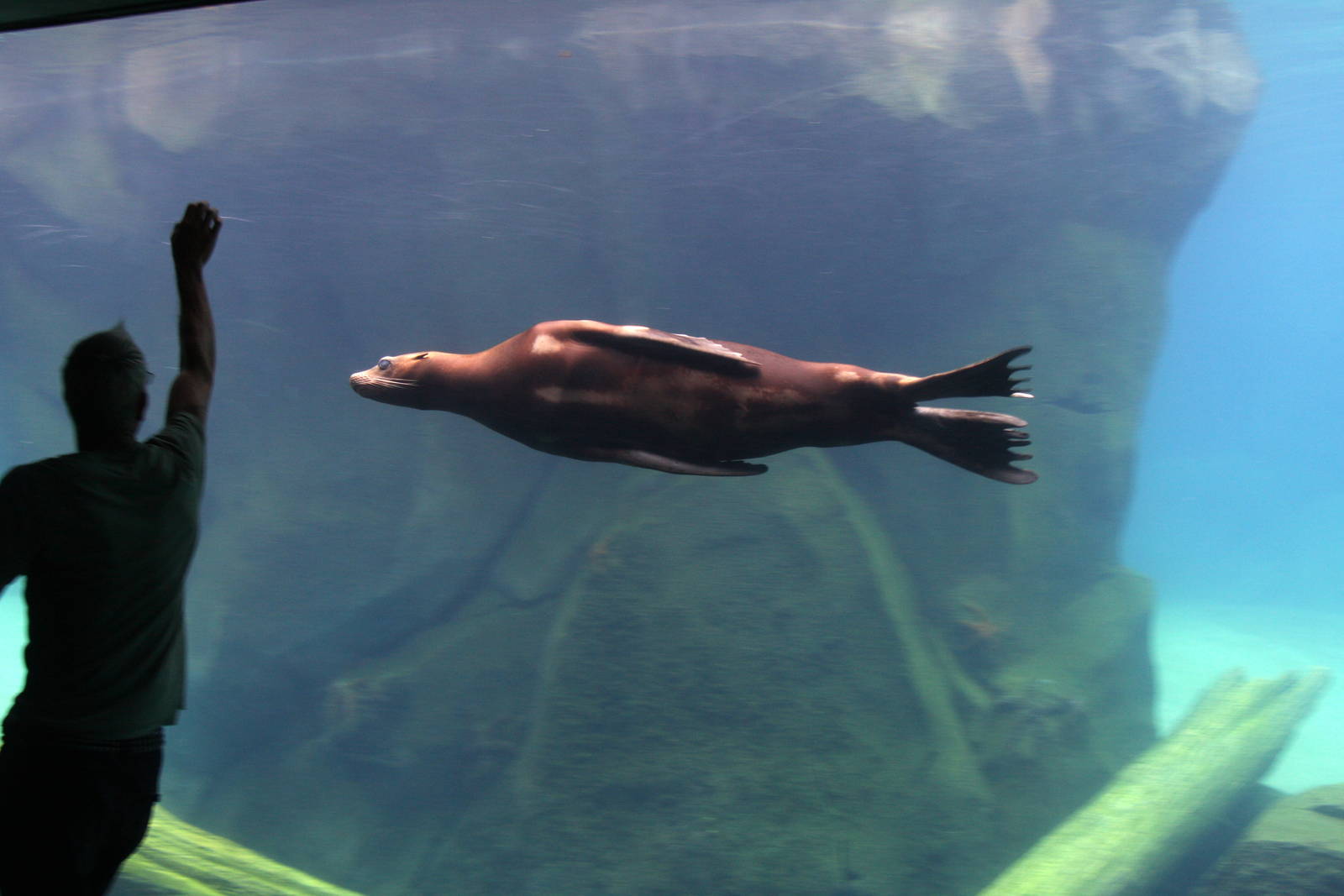 2013: Smithsonian National Zoo