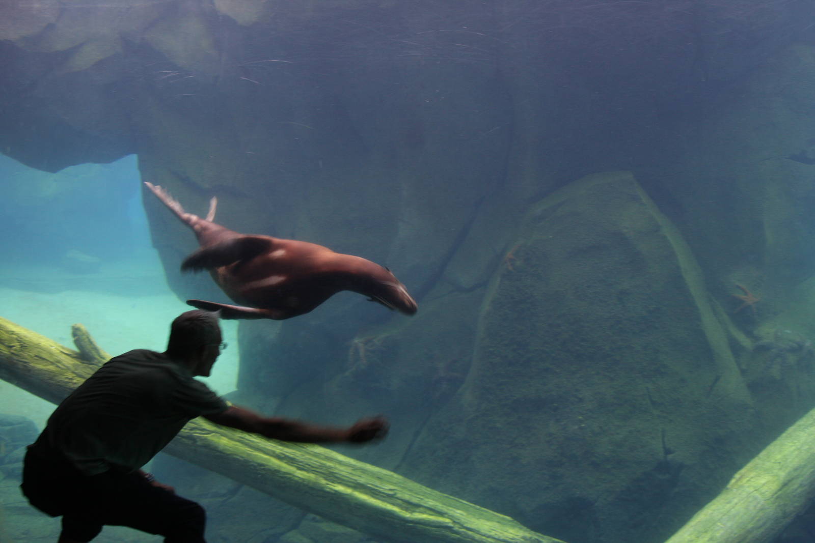 2013: Smithsonian National Zoo