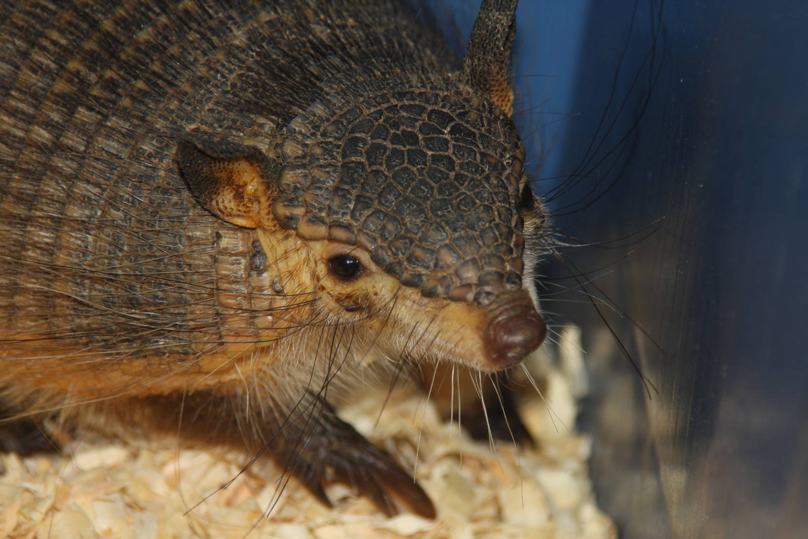 2013 Temaiken Bioparc