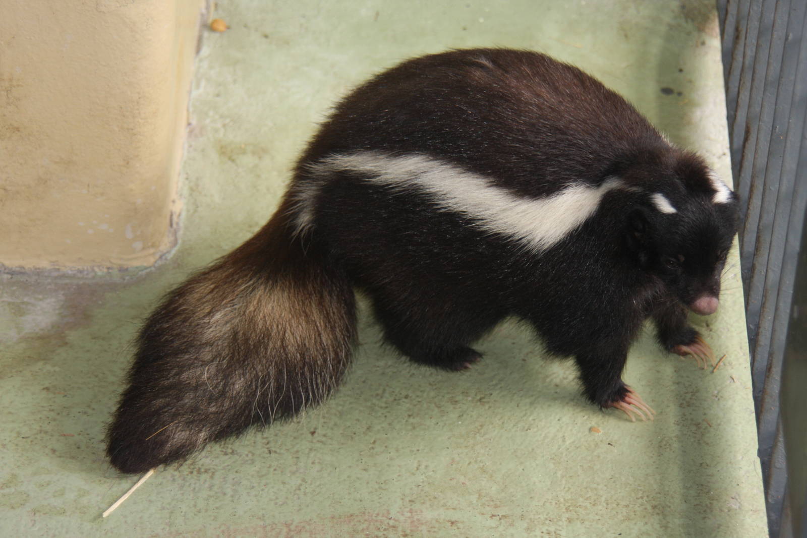 2013 Temaiken Bioparc