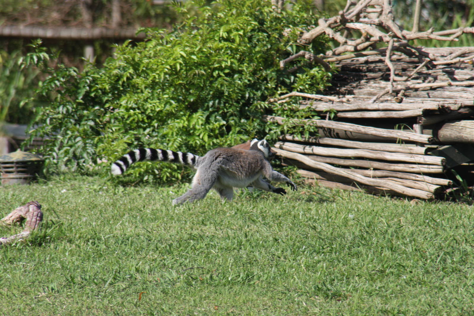 2013 Temaiken Bioparc