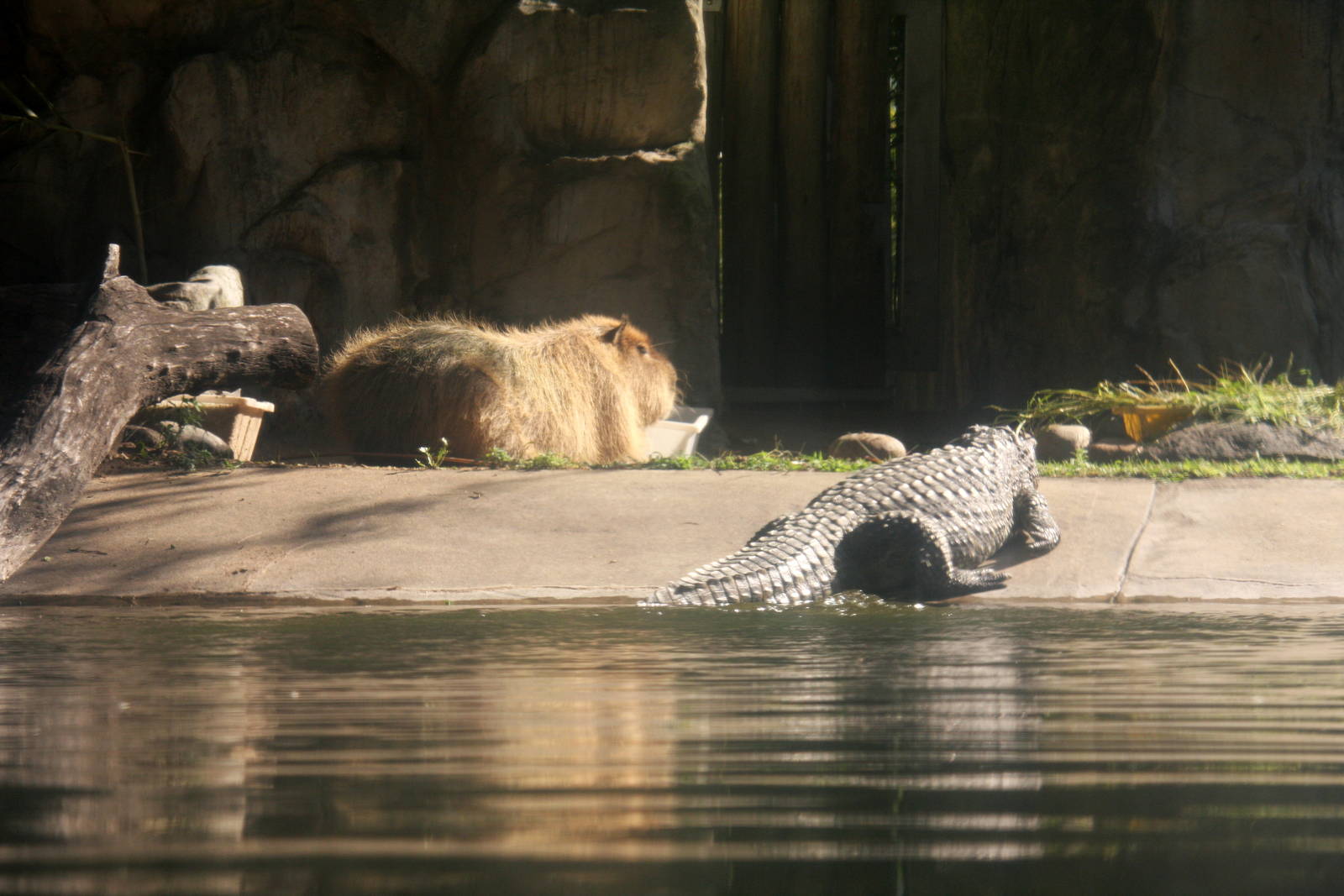 2013 Temaiken Bioparc