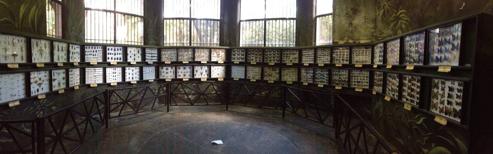 2013 Zoo de Buenos Aires