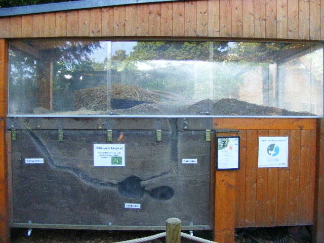 201306 Heidelberg Zoo Common hamster exhibit