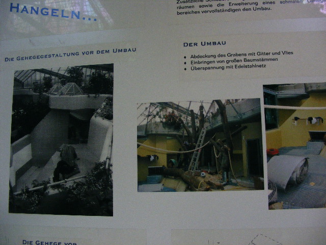 201306 Heidelberg Zoo former indoor monkey cages