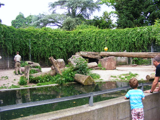201306 Heidelberg Zoo Lion enclosure