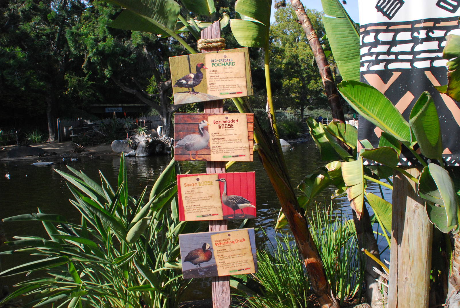 2014-01-09 Mombasa Lagoon New signs