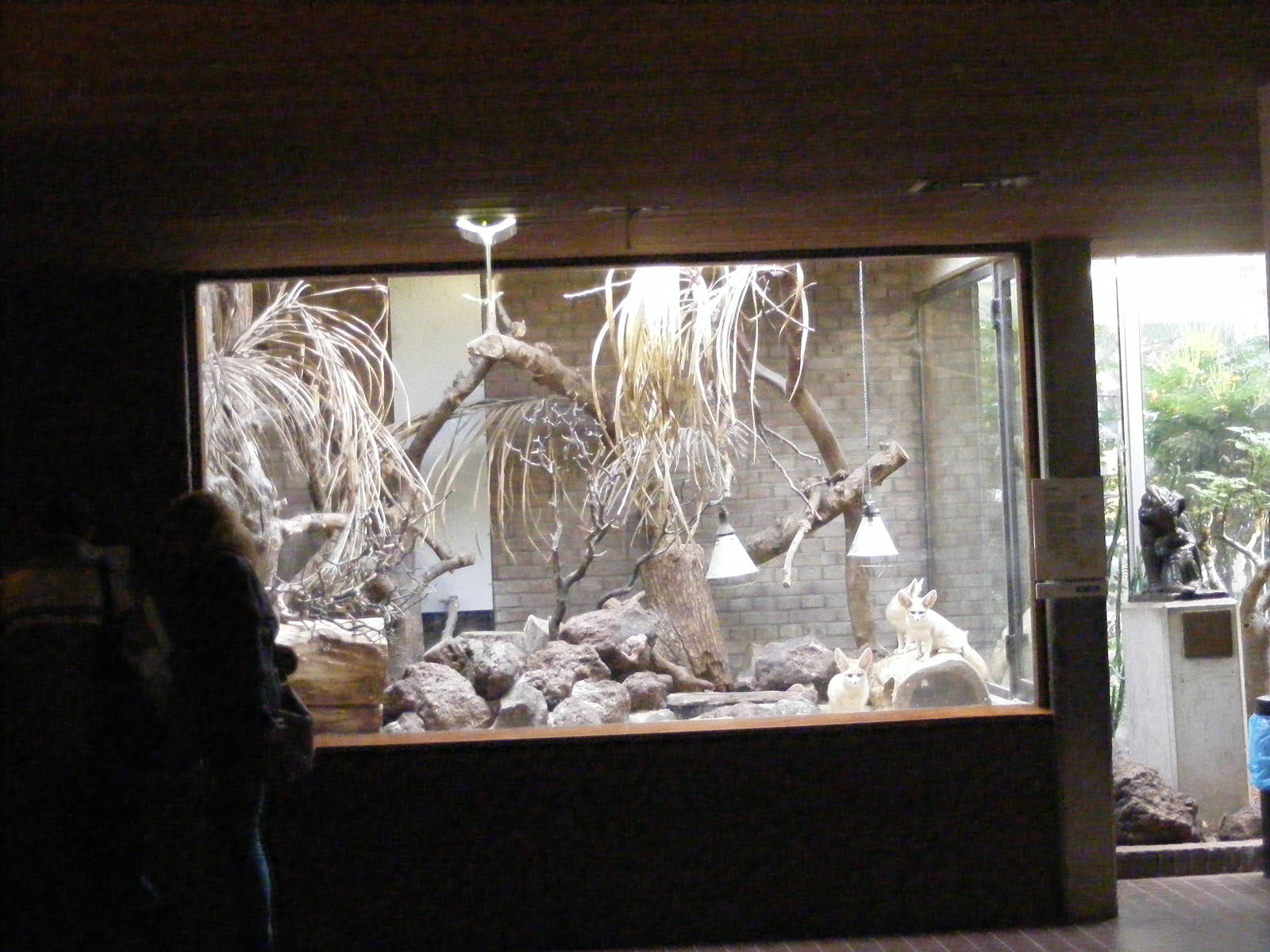 2014-11-22 Artis Fenneks