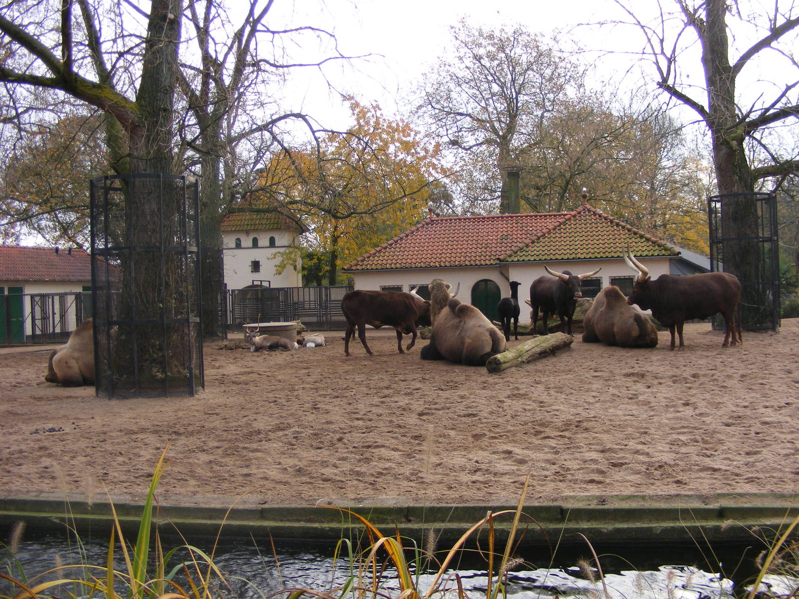 2014-11-22 Artis mixed enclosure