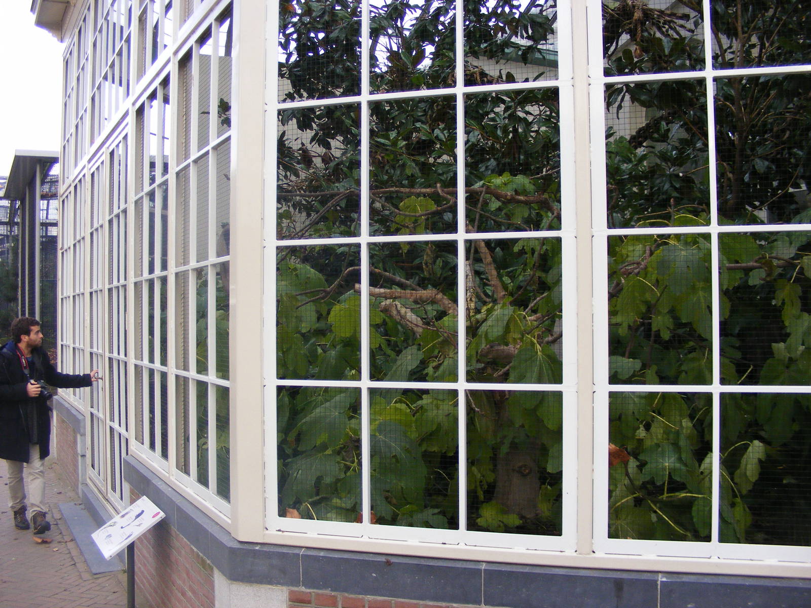 2014-11-22 Artis outdoor aviary