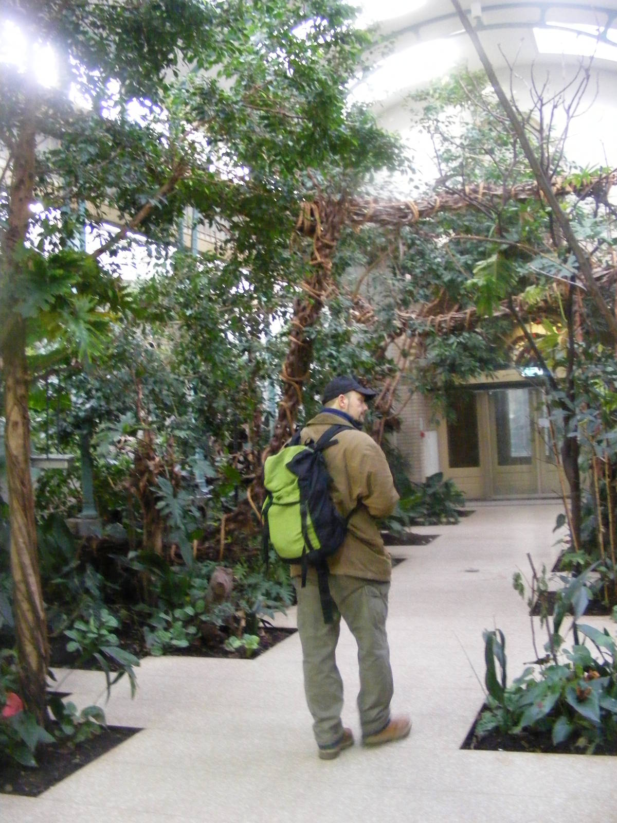 2014-11-22 Artis Tropical rainforest in the birdhouse