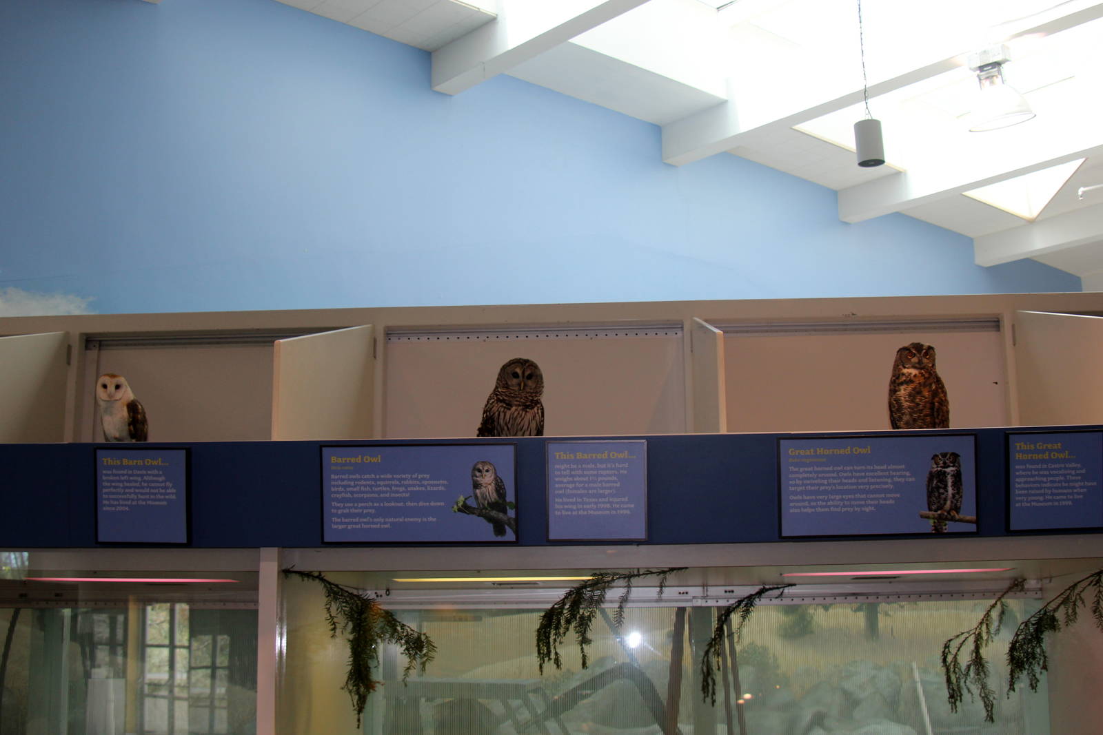 2014 Lindsay Wildlife Museum