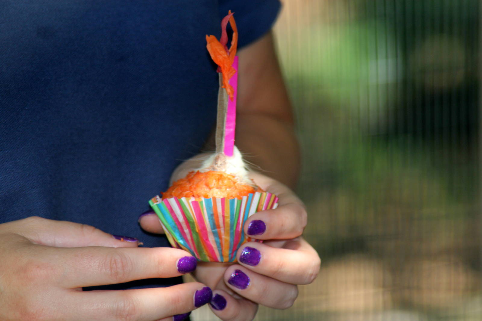 2014 Lindsay Wildlife Museum