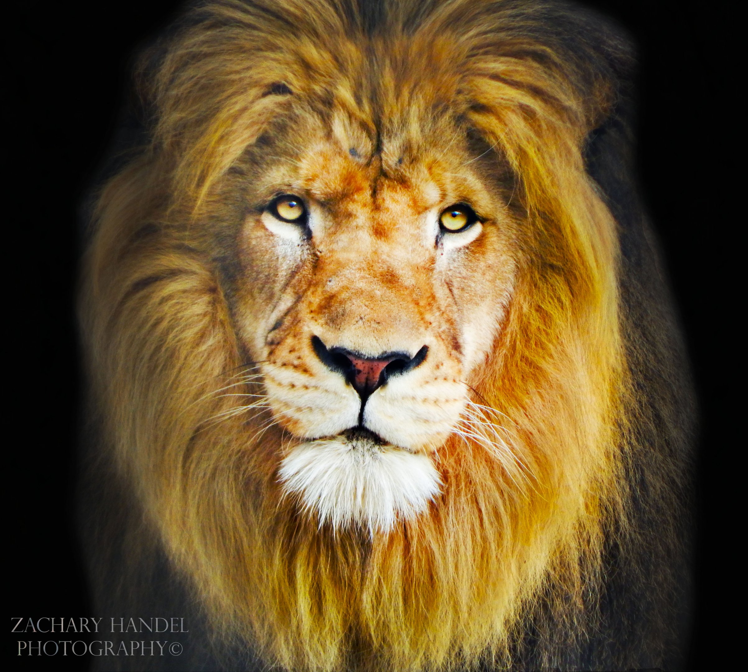 2014 - Plains - Nyack