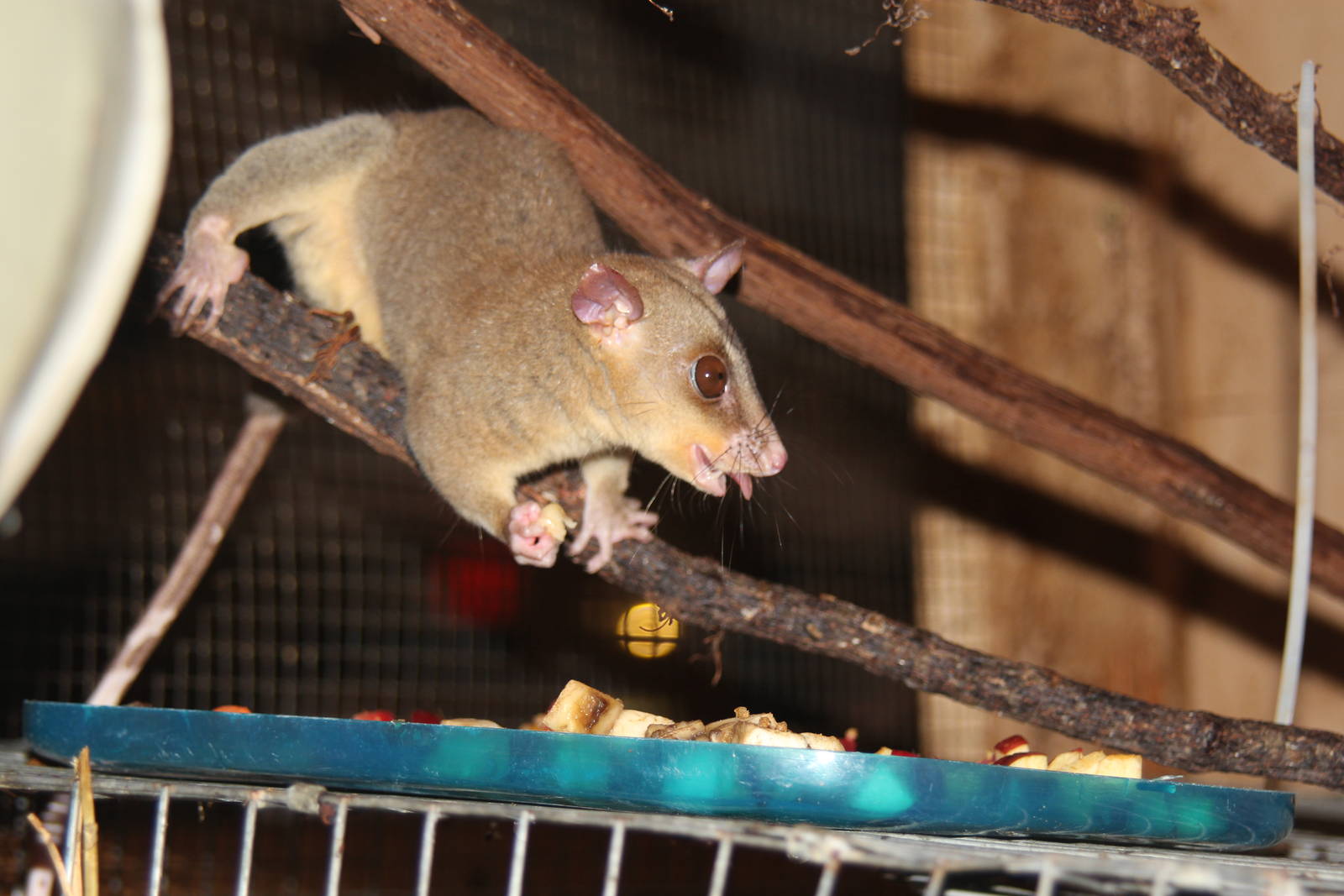 2014 Shell Factory and Nature Park