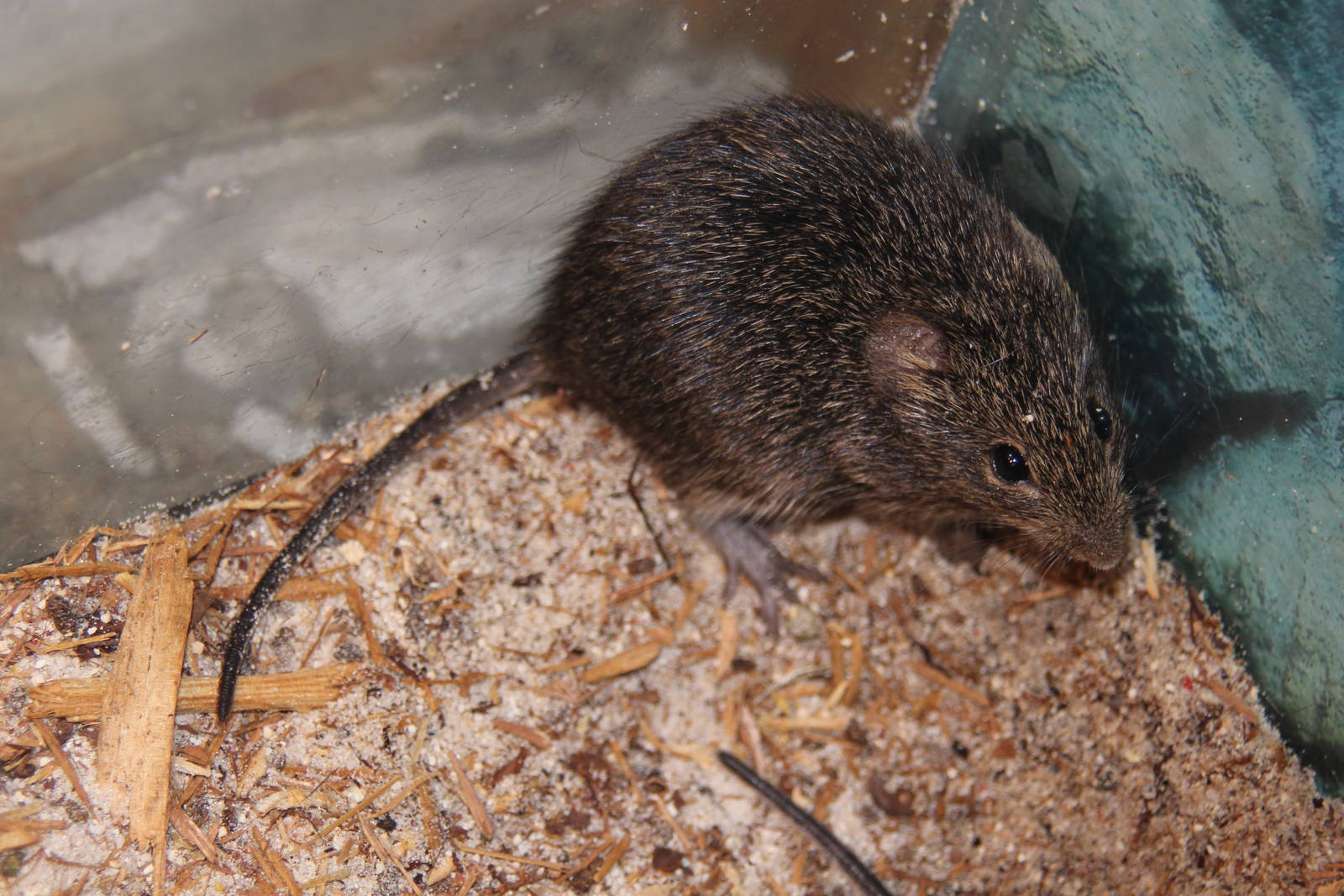 2014 Shell Factory and Nature Park